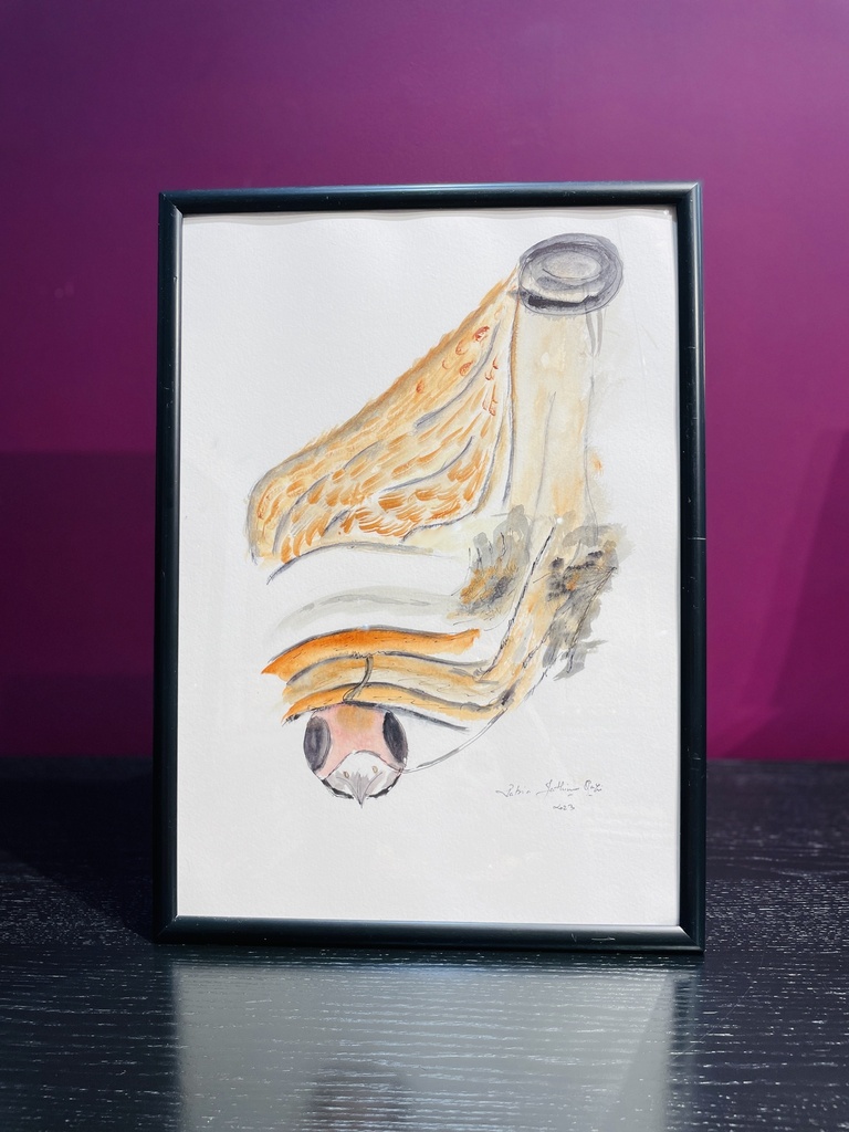 Vibrant Harmony (Framed) (copy)